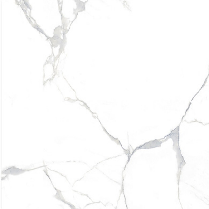 Calacatta White