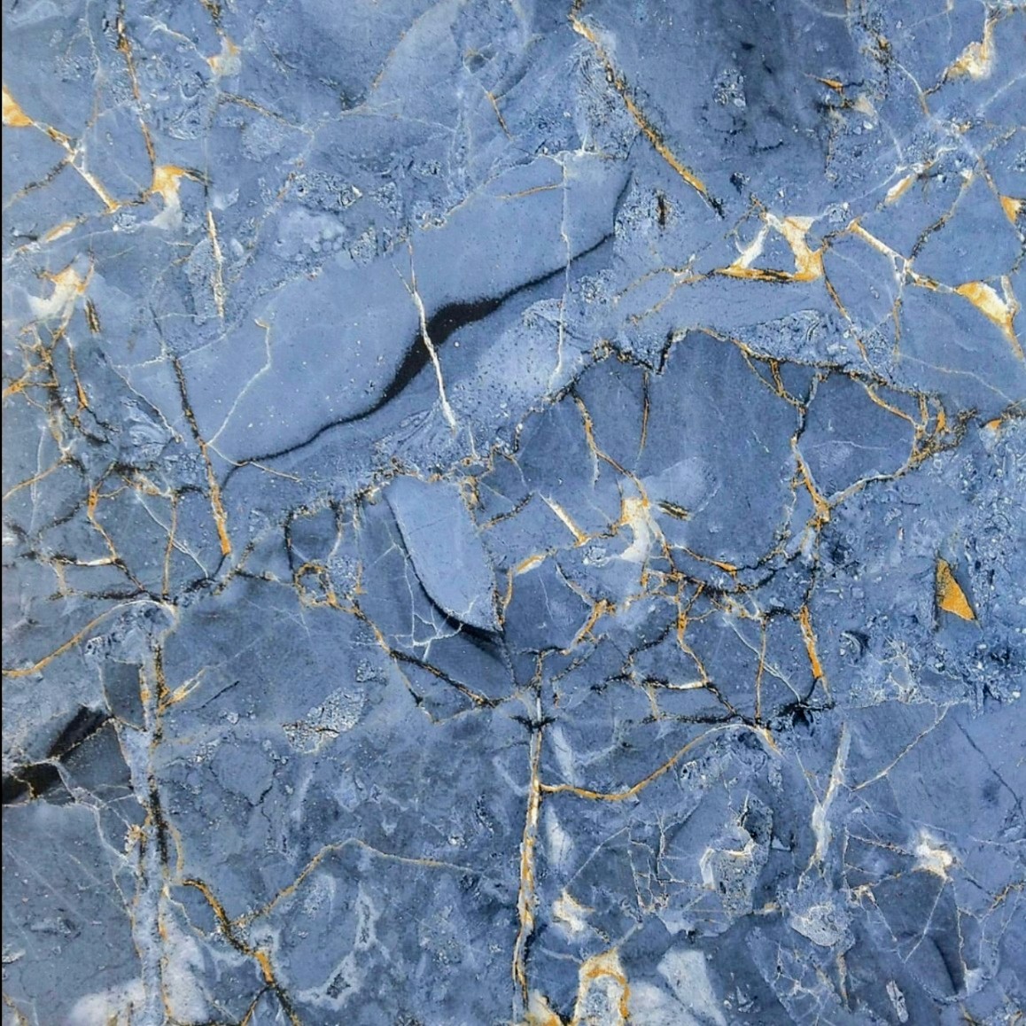 Terios Blue